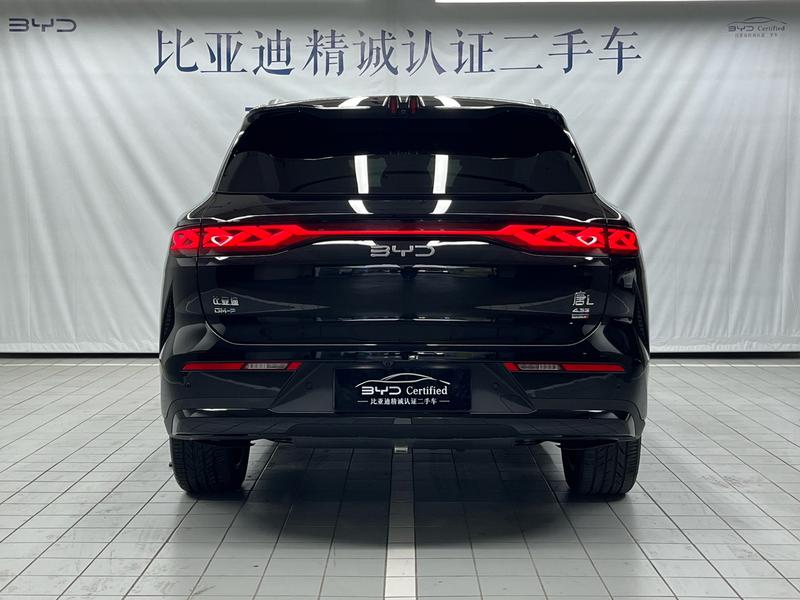 BYD L DM - фото 3