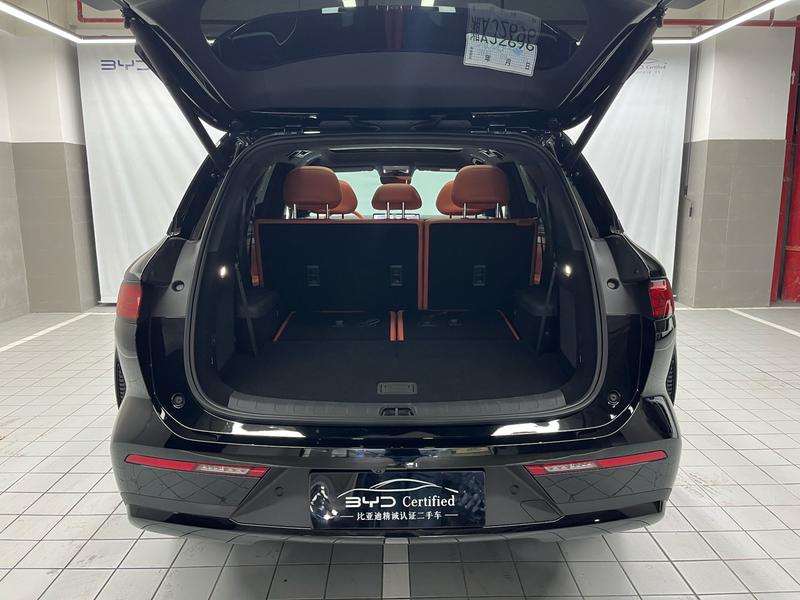 BYD L DM - фото 4