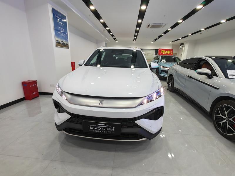 BYD Pro DM - фото 1