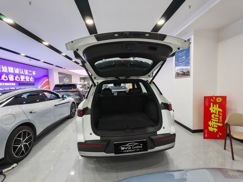 BYD Pro DM - фото 4