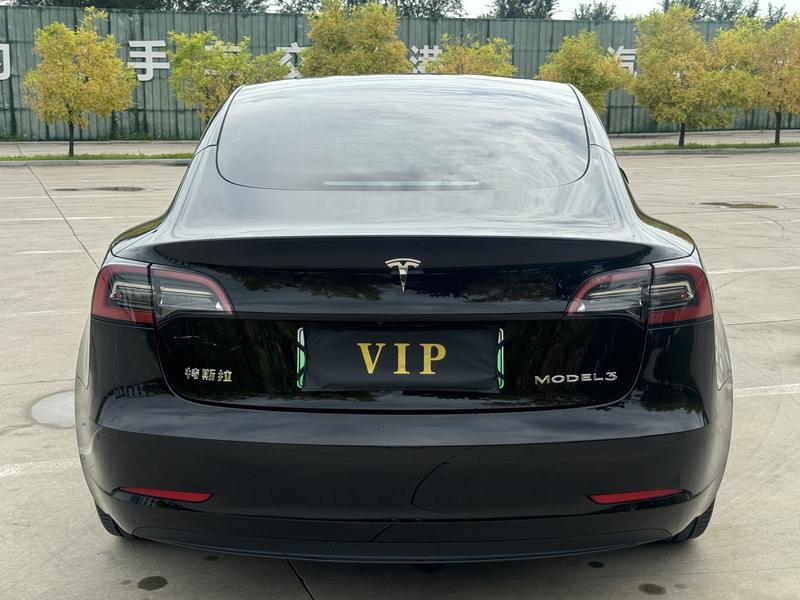 Tesla Model 3 - фото 4