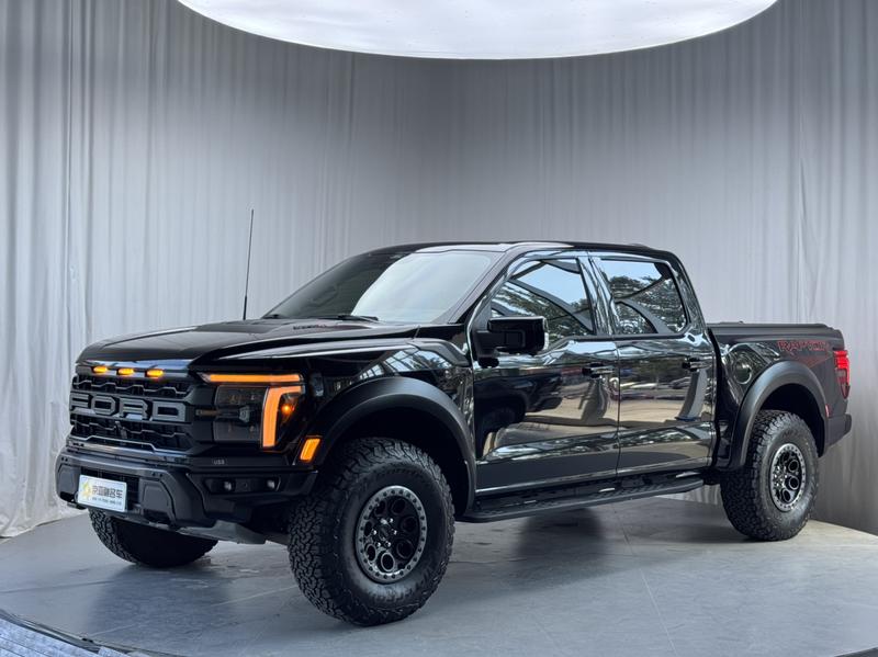 Ford F-150 Raptor - фото 0