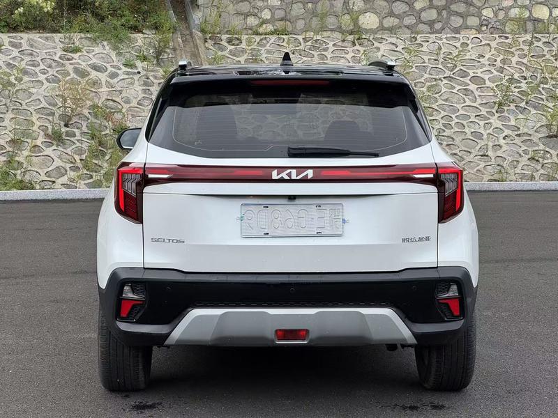 Kia Seltos - фото 4