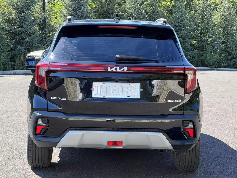 Kia Seltos - фото 4
