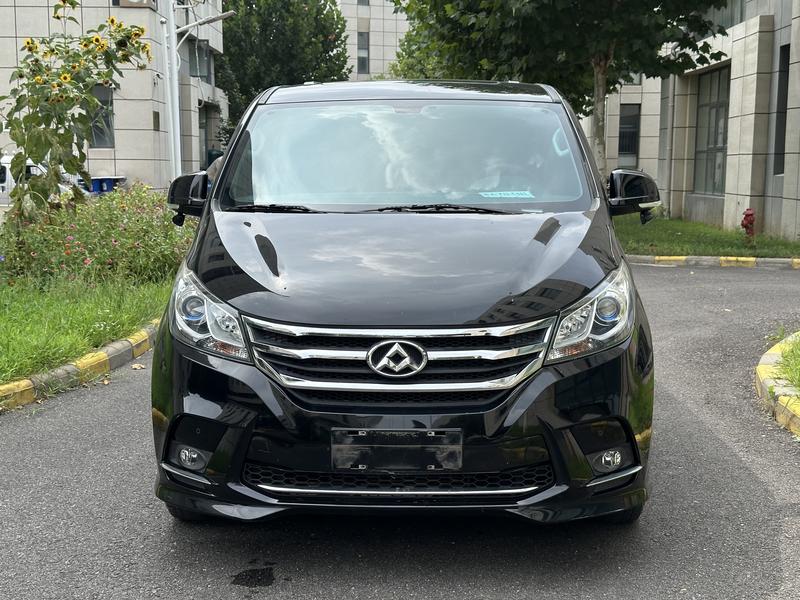 Maxus G10 - фото 1