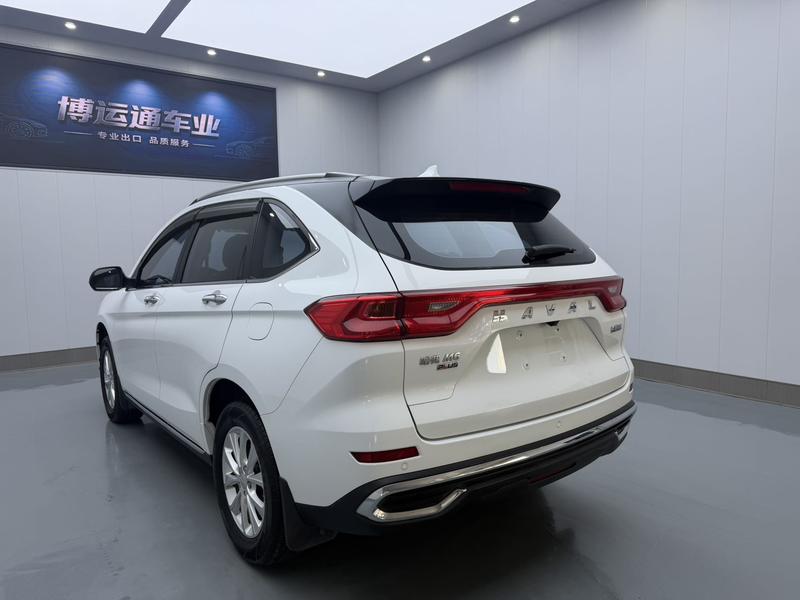 Haval M6 - фото 3