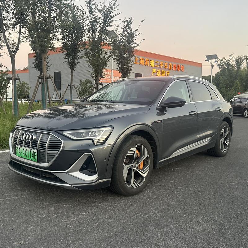 Audi e-tron - фото 0