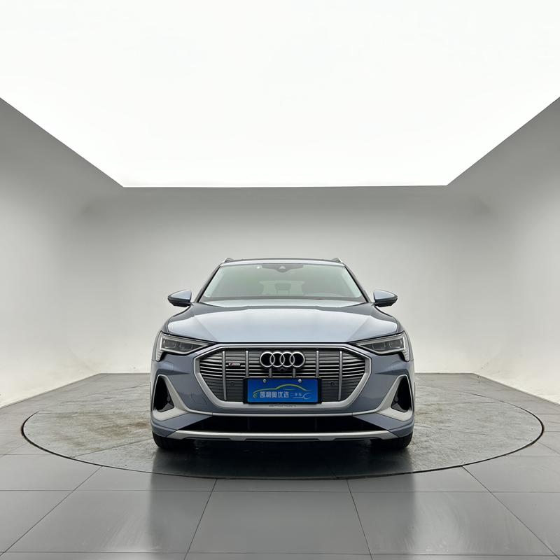 Audi e-tron - фото 1
