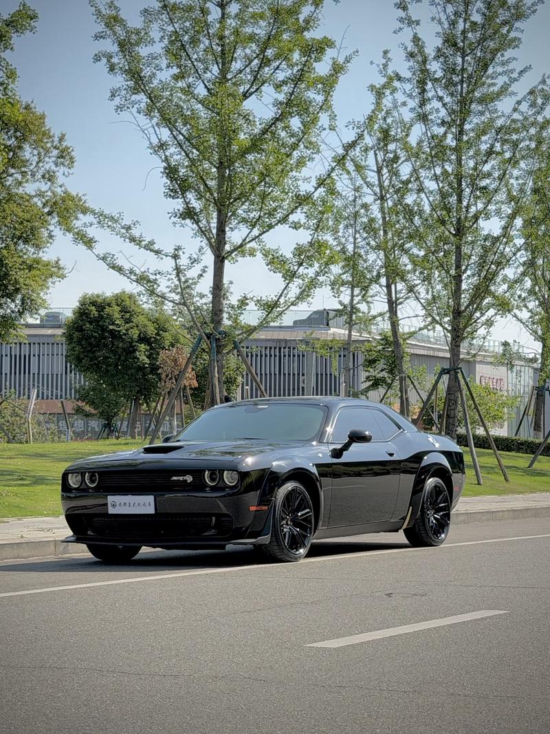 Dodge SRT - фото 0