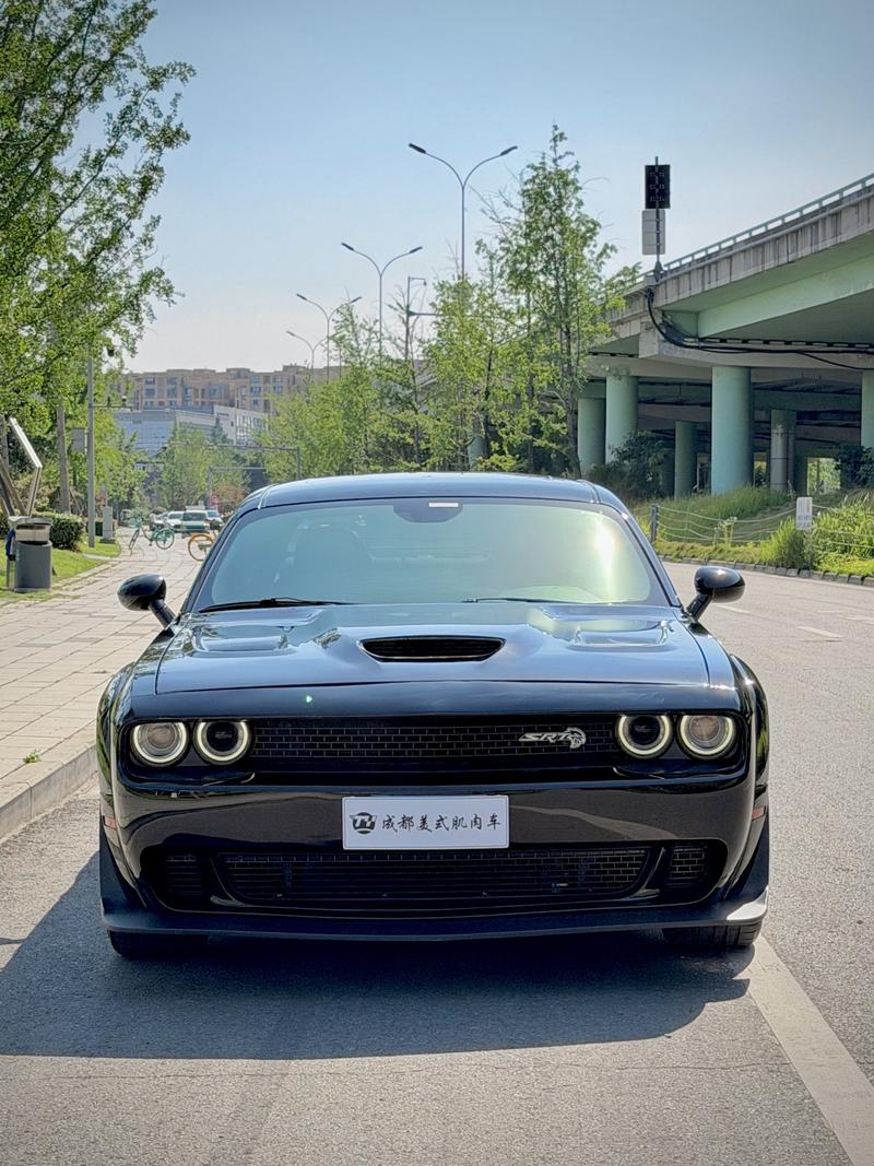 Dodge SRT - фото 1