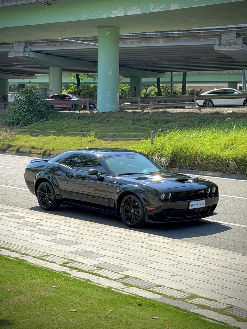 Dodge SRT - фото 2