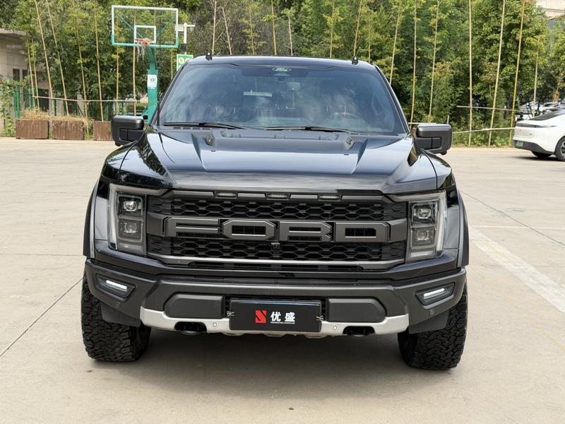 Ford F-150 Raptor - фото 1
