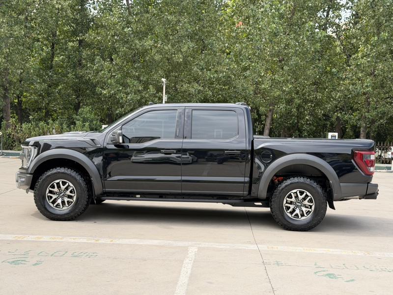 Ford F-150 Raptor - фото 3