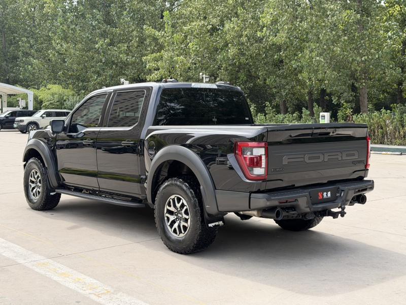 Ford F-150 Raptor - фото 4