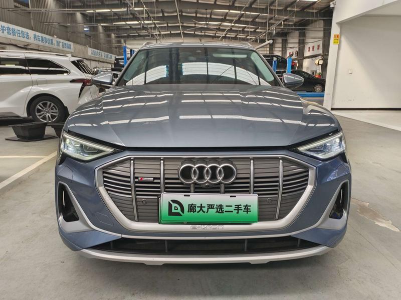 Audi e-tron - фото 1