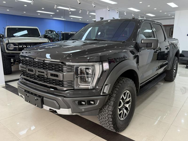 Ford F-150 Raptor - фото 0