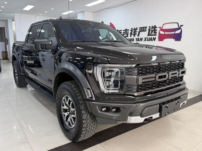 Ford F-150 Raptor - фото 2