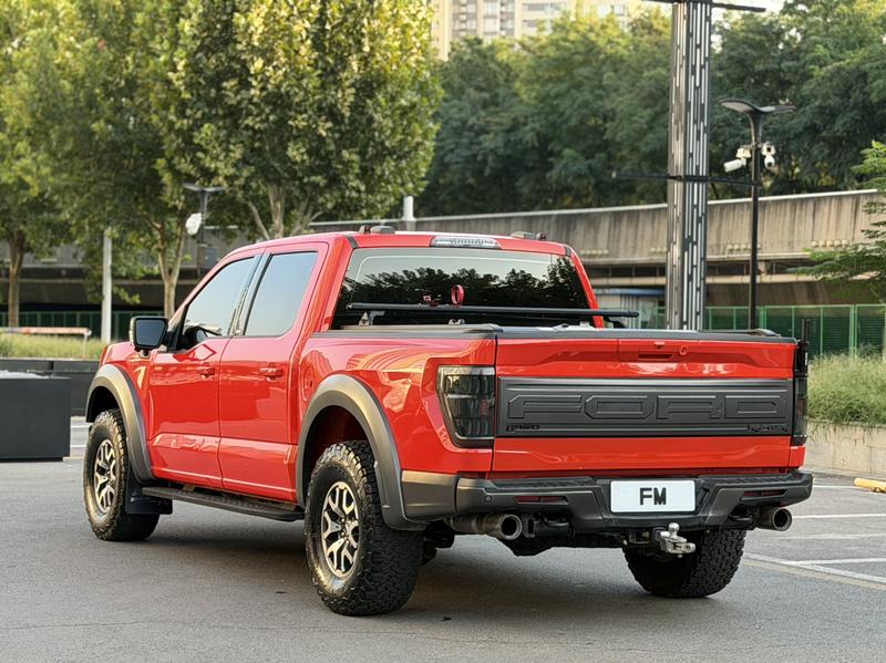 Ford F-150 Raptor - фото 3