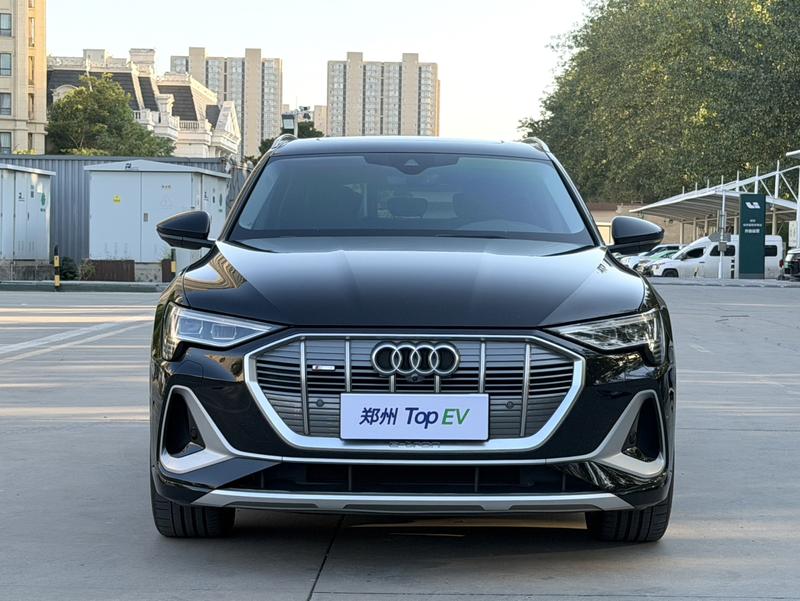 Audi e-tron - фото 1