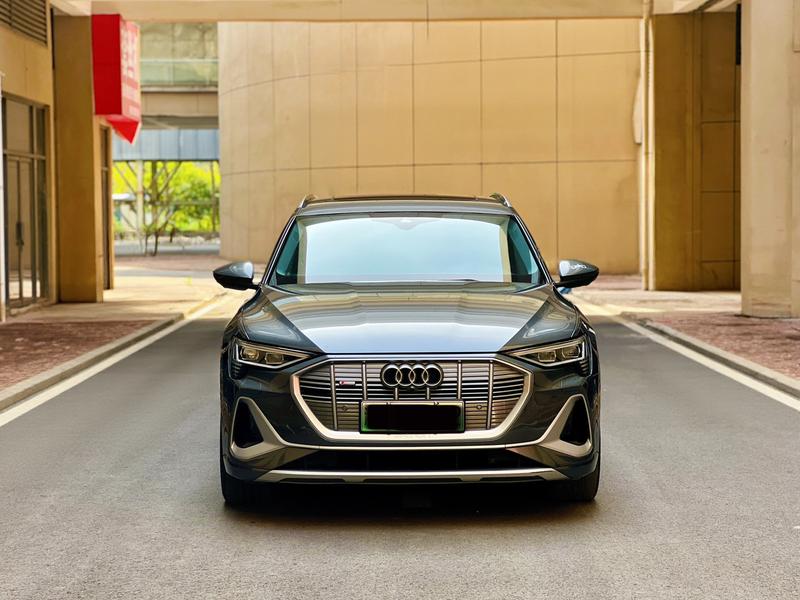 Audi e-tron - фото 1