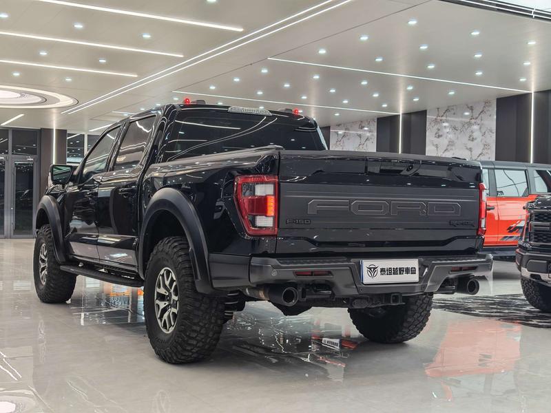 Ford F-150 Raptor - фото 3