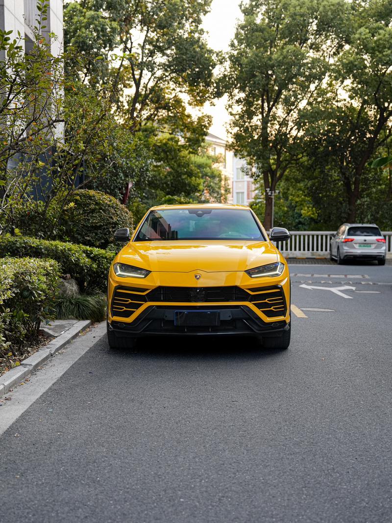 Lamborghini Urus - фото 1