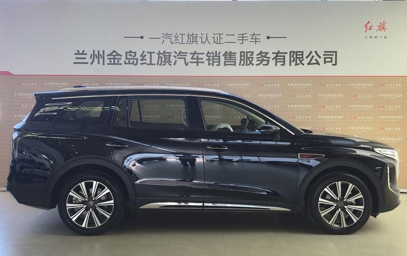 Hongqi HS7 PHEV - фото 4