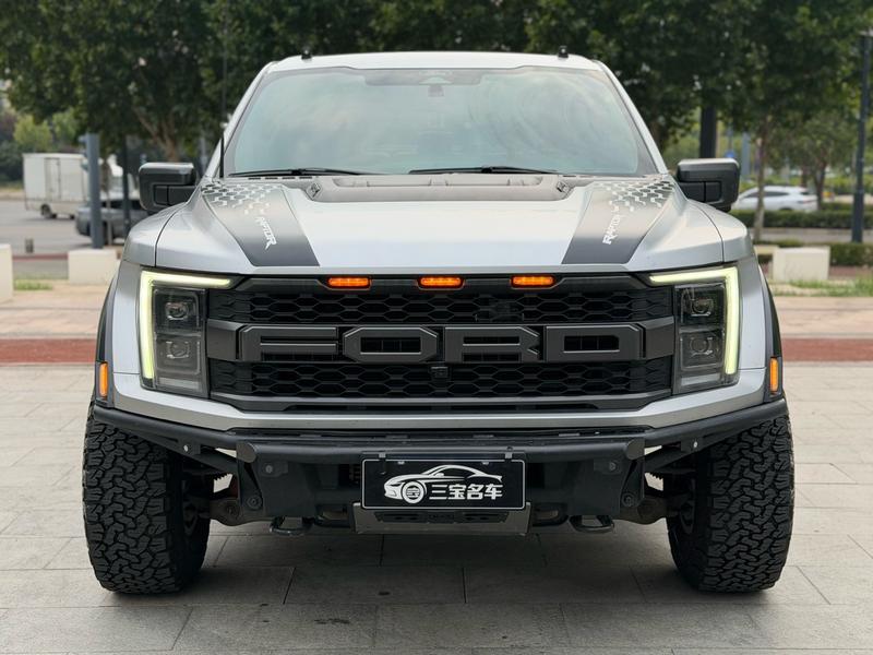 Ford F-150 Raptor - фото 1