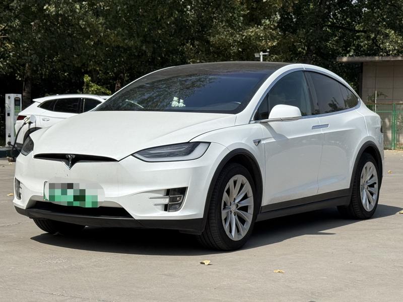 Tesla Model X - фото 0