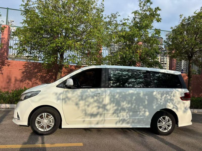 Maxus G10 - фото 3