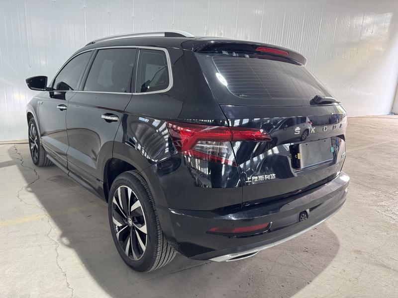 Skoda Karoq - фото 3