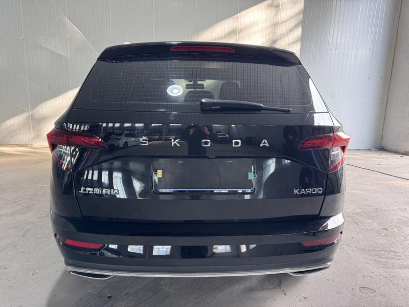 Skoda Karoq - фото 4