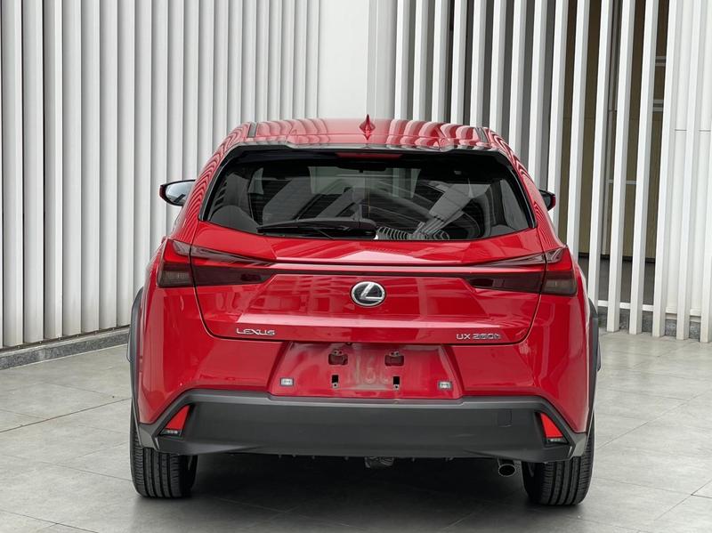 Lexus UX - фото 2