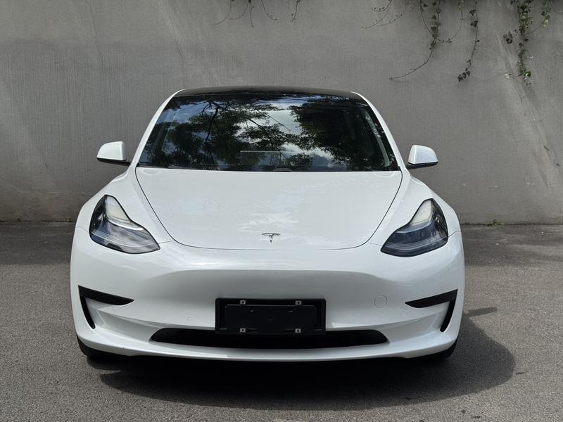 Tesla Model 3 (Import) - фото 1