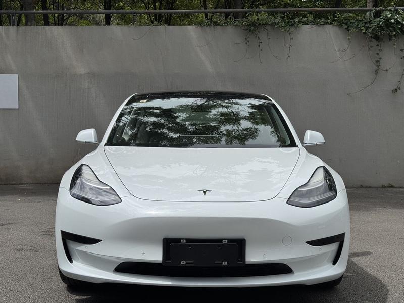 Tesla Model 3 (Import) - фото 1