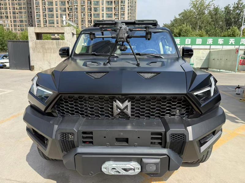 Mengshi 917 - фото 1