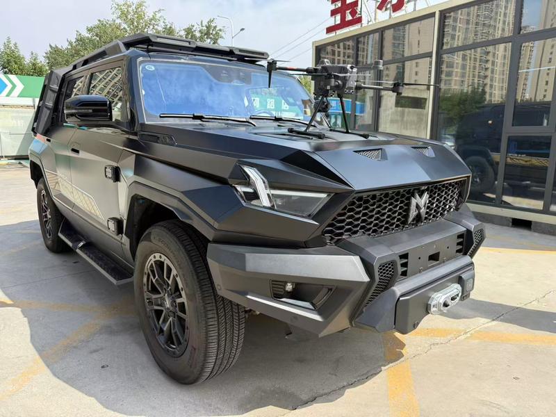 Mengshi 917 - фото 2