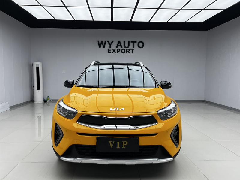 Kia Pegas - фото 1