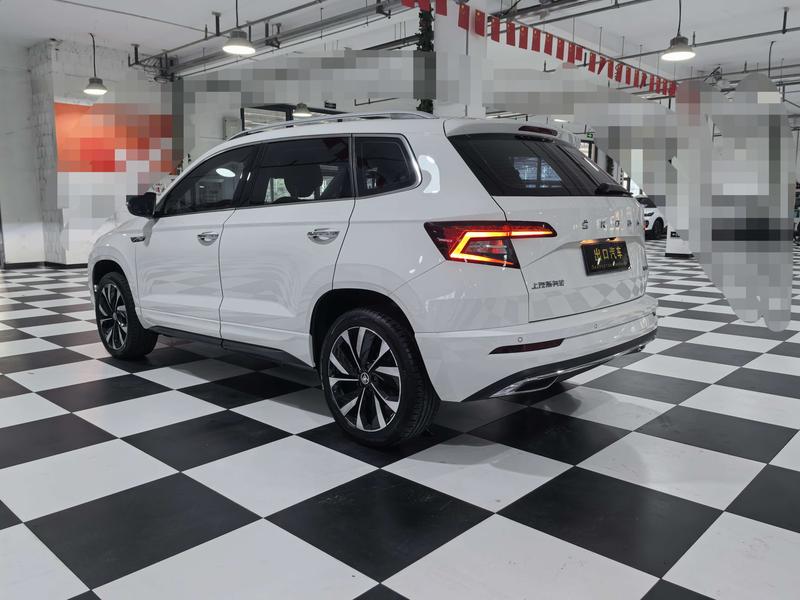 Skoda Karoq - фото 4