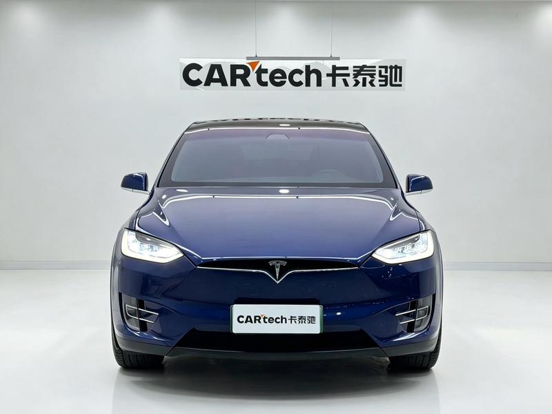 Tesla Model X - фото 1