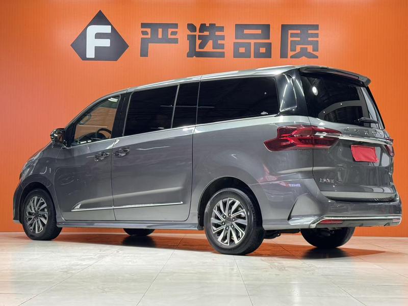 Maxus G20 - фото 3