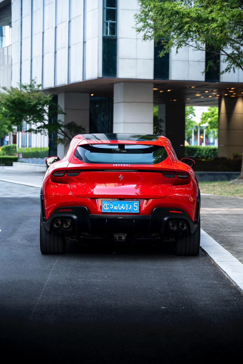 Ferrari Purosangue - фото 4