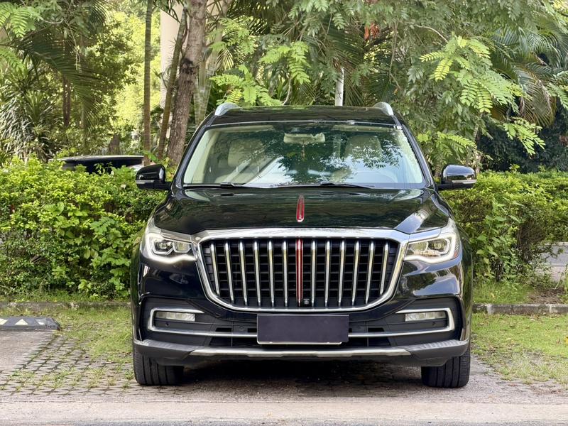 Hongqi HS7 - фото 1