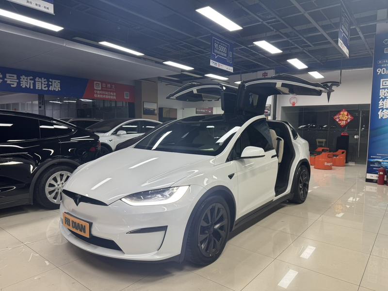 Tesla Model X - фото 0