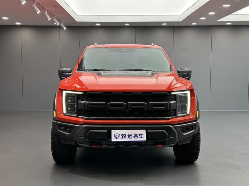 Ford F-150 Raptor - фото 1
