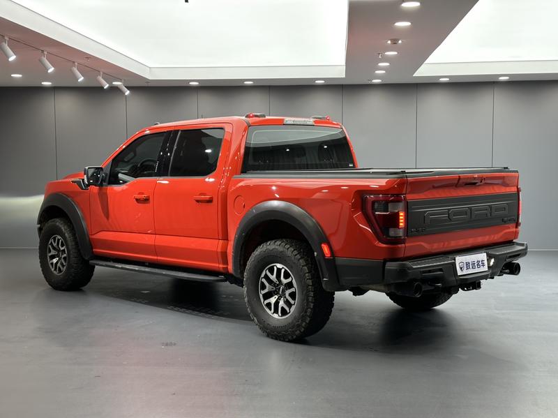 Ford F-150 Raptor - фото 3