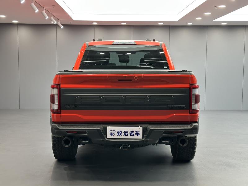 Ford F-150 Raptor - фото 4