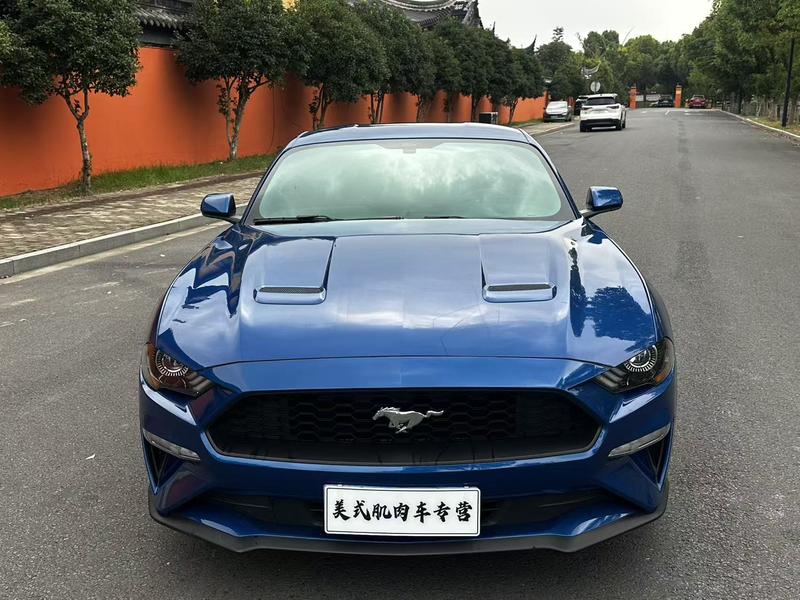 Ford Mustang - фото 1