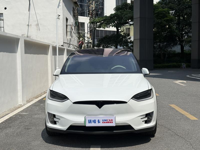 Tesla Model X - фото 1