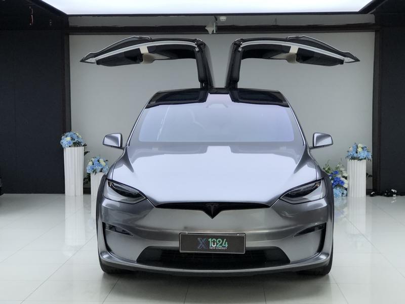 Tesla Model X - фото 1